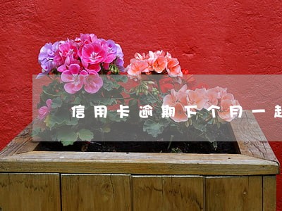 信用卡逾期下个月一起还可以吗 信用卡逾期下个月一起还可以吗