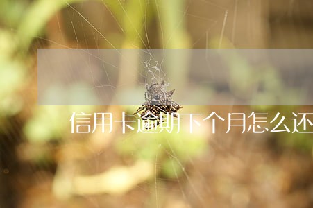 信用卡逾期下个月怎么还 信用卡逾期下个月怎么还