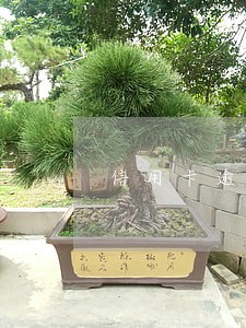 信用卡逾期下个月还可以么