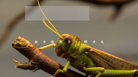 信用卡逾期下侓师多久 信用卡逾期下侓师多久