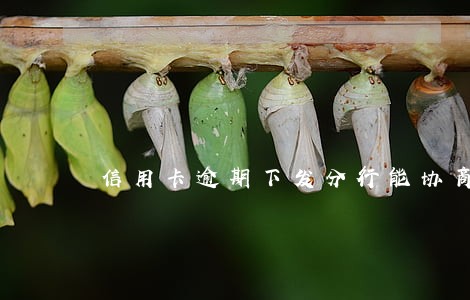 信用卡逾期下发分行能协商吗
