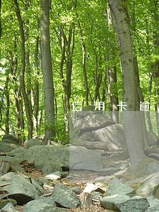 信用卡逾期下发材料到住处 信用卡逾期下发材料到住处