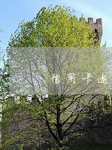 信用卡逾期下月还 信用卡逾期下月还