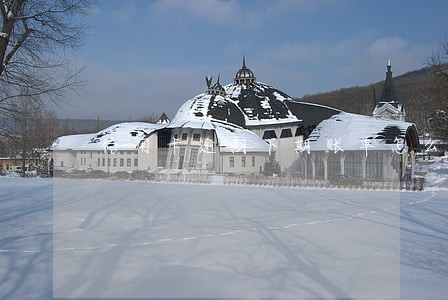 信用卡逾期下期账单怎么还 信用卡逾期下期账单怎么还