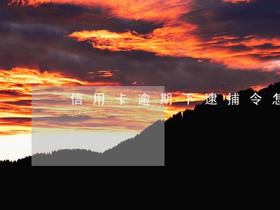 信用卡逾期下逮捕令怎么办
