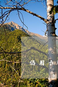 信用卡逾期不上征信如何处理 信用卡逾期不上征信如何处理