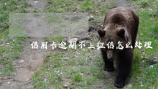 信用卡逾期不上征信怎么处理