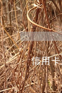 信用卡逾期不上征信银保监会 信用卡逾期不上征信银保监会