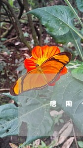 信用卡逾期不与协商投诉 信用卡逾期不与协商投诉