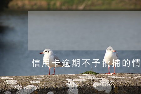 信用卡逾期不予批捕的情形