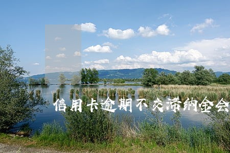信用卡逾期不交滞纳金会怎么样