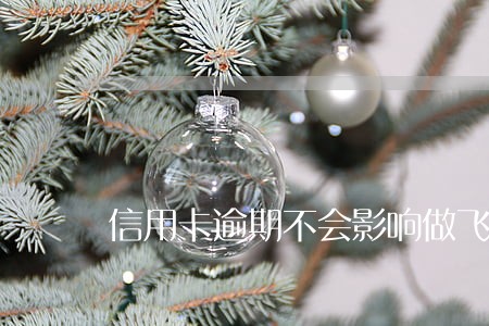 信用卡逾期不会影响做飞机吗 信用卡逾期不会影响做飞机吗