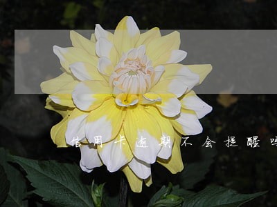 信用卡逾期不会提醒吗 信用卡逾期不会提醒吗