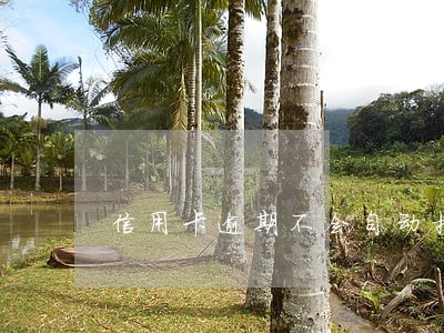 信用卡逾期不会自动扣款怎么办 信用卡逾期不会自动扣款怎么办