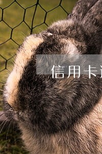 信用卡逾期不会被通缉 信用卡逾期不会被通缉