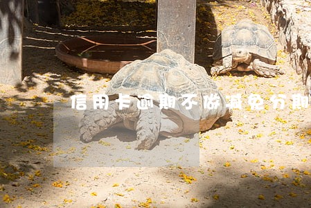 信用卡逾期不做减免分期