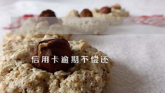 信用卡逾期不偿还 信用卡逾期不偿还