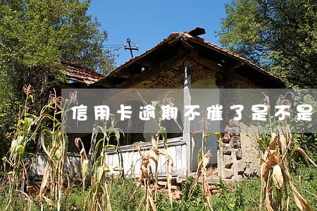 信用卡逾期不催了是不是报警了 信用卡逾期不催了是不是报警了