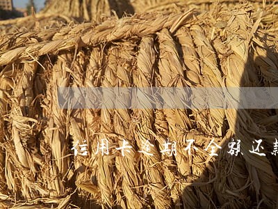 信用卡逾期不全额还款可以吗 信用卡逾期不全额还款可以吗