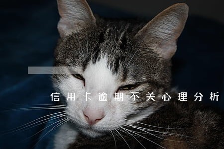 信用卡逾期不关心理分析 信用卡逾期不关心理分析
