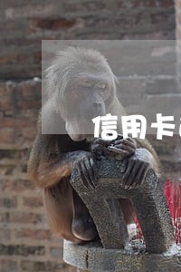 信用卡逾期不再受理 信用卡逾期不再受理