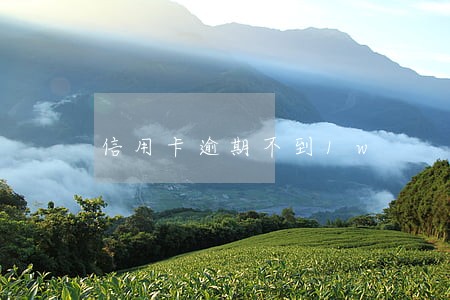 信用卡逾期不到1w 信用卡逾期不到1w