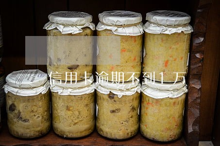 信用卡逾期不到1万 信用卡逾期不到1万