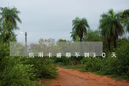 信用卡逾期不到30天