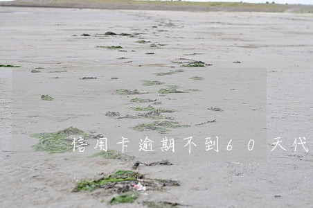 信用卡逾期不到60天代还 信用卡逾期不到60天代还