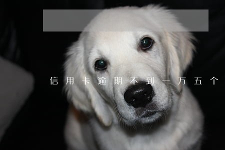 信用卡逾期不到一万五个月后果 信用卡逾期不到一万五个月后果