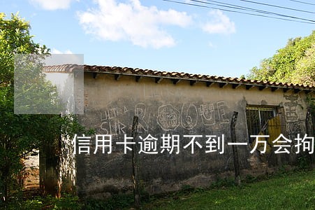 信用卡逾期不到一万会拘留嘛