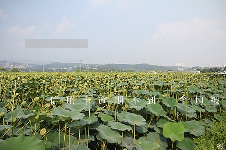 信用卡逾期不到一个月被停卡
