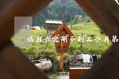 信用卡逾期不到三个月第三方催还 信用卡逾期不到三个月第三方催还