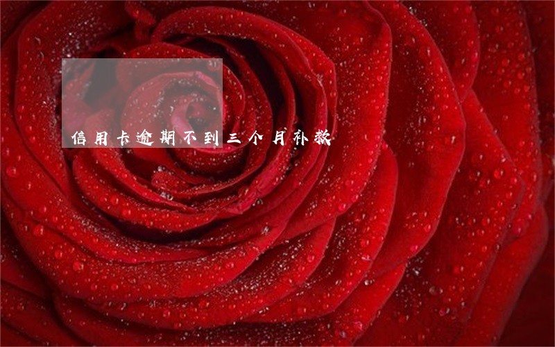信用卡逾期不到三个月补救