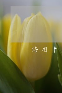 信用卡逾期不到五万会被拘留吗