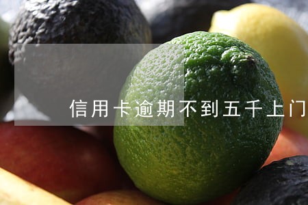 信用卡逾期不到五千上门催收 信用卡逾期不到五千上门催收