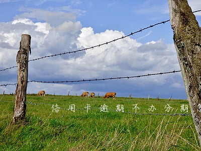 信用卡逾期不办分期怎么办 信用卡逾期不办分期怎么办