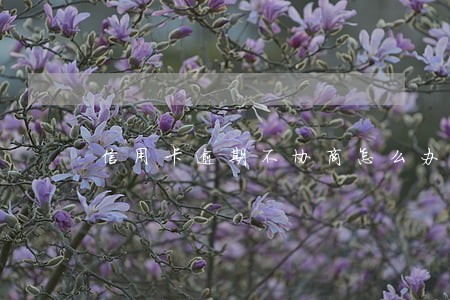 信用卡逾期不协商怎么办
