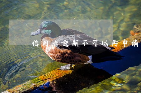 信用卡逾期不可以再申请 信用卡逾期不可以再申请