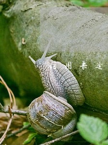 信用卡逾期不可以分期还款吗 信用卡逾期不可以分期还款吗