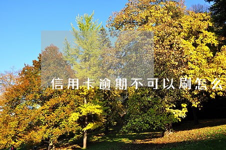 信用卡逾期不可以刷怎么办 信用卡逾期不可以刷怎么办