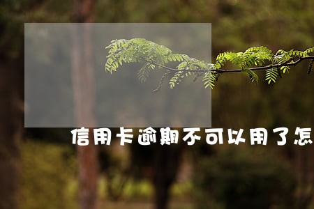信用卡逾期不可以用了怎么办 信用卡逾期不可以用了怎么办