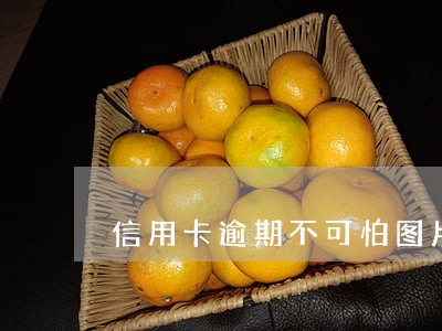 信用卡逾期不可怕图片 信用卡逾期不可怕图片