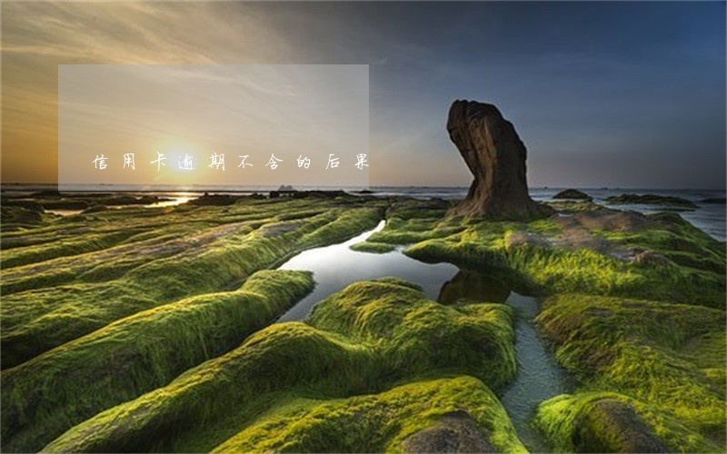 信用卡逾期不含的后果 信用卡逾期不含的后果