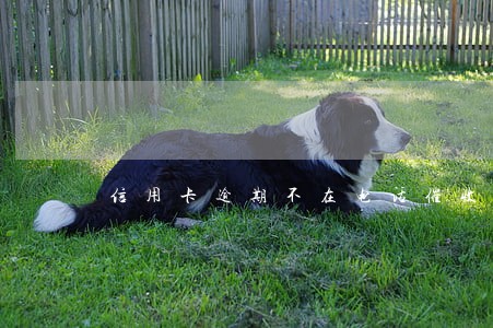 信用卡逾期不在电话催收技巧 信用卡逾期不在电话催收技巧