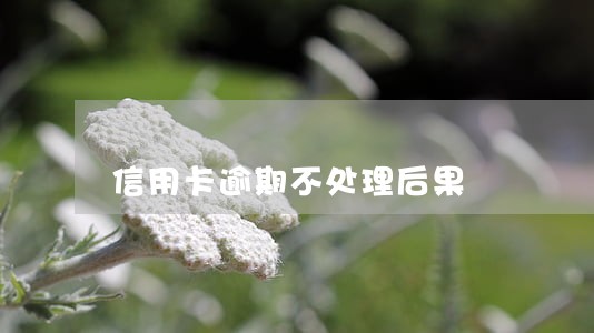 信用卡逾期不处理后果 信用卡逾期不处理后果