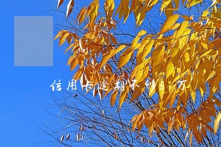信用卡逾期不够5万 信用卡逾期不够5万