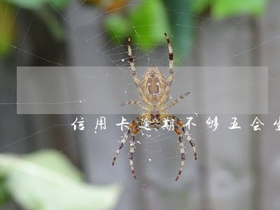 信用卡逾期不够五会坐牢吗