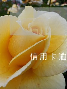 信用卡逾期不够最低 信用卡逾期不够最低