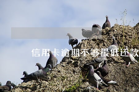 信用卡逾期不够最低还款额 信用卡逾期不够最低还款额